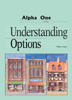 understanding_options.jpg (12327 bytes)