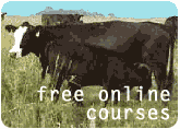 free_online_courses.gif (6427 bytes)